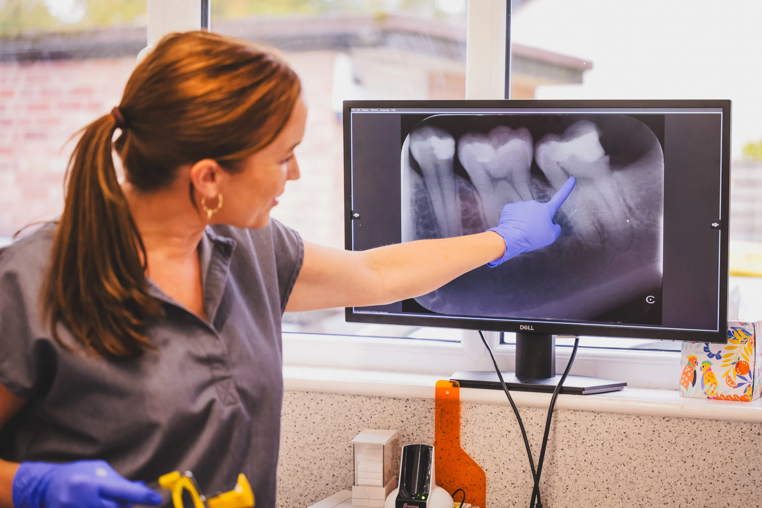 Dr Anna McDonagh reviewing imaging at New Road Dental Bromsgrove